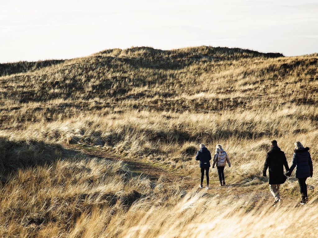 6 vandretur på mandoe og i naturen - ribe byferie resort