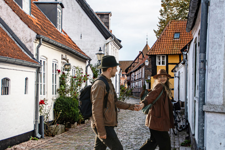 ANN Mini Lux 2 Halvår 1