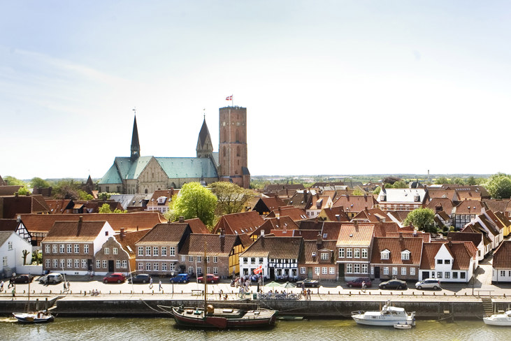 Ribe-by-town-ribe-byferie