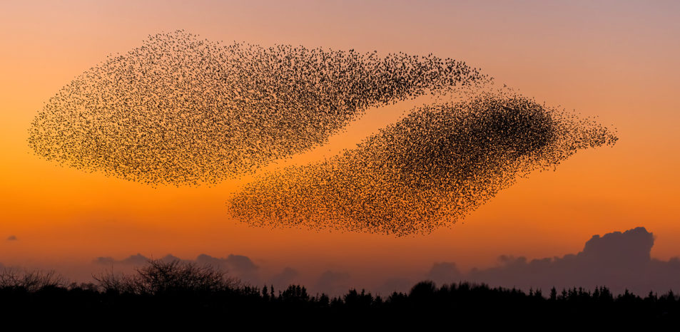 Sort-Sol-deluxe-hotel-ribe-byferie-resort