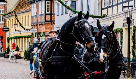 6 jul og hestevogn i gaagaden - ribe byferi resort