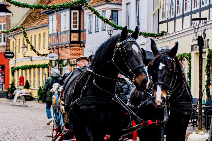 6 jul og hestevogn i gaagaden - ribe byferi resort
