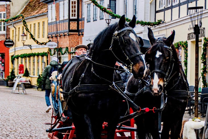 6 jul og hestevogn i gaagaden - ribe byferi resort