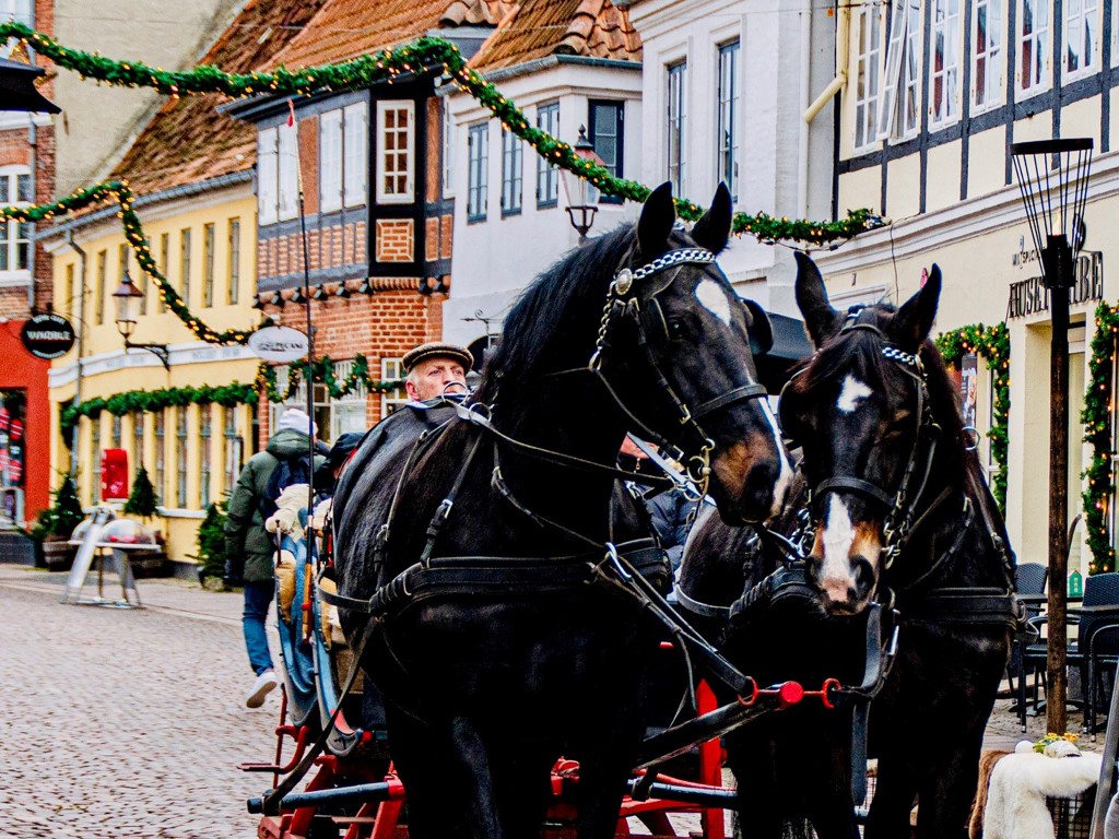 6 jul og hestevogn i gaagaden - ribe byferi resort