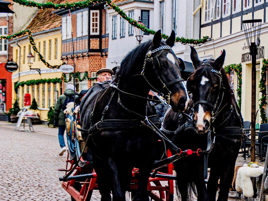 6 jul og hestevogn i gaagaden - ribe byferi resort
