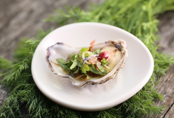 Østers-ophold-hotel-deluxe-ribe-byferie-resort