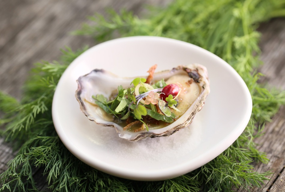 Østers-ophold-hotel-deluxe-ribe-byferie-resort