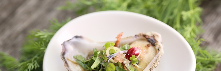 Østers-ophold-hotel-deluxe-ribe-byferie-resort