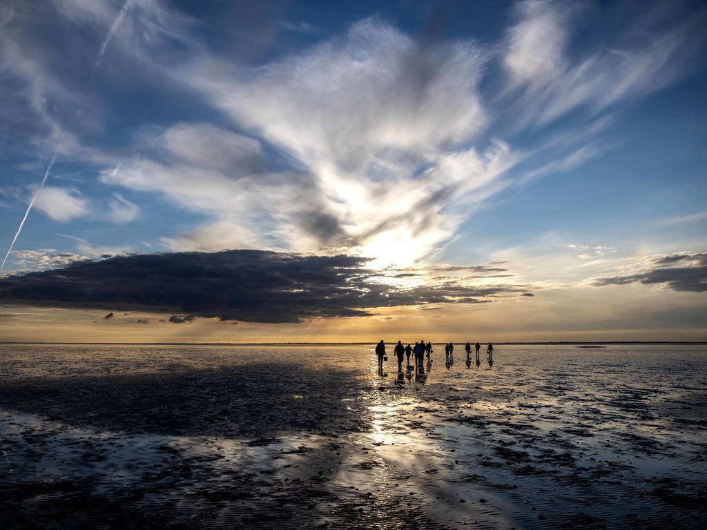 østersture i vadehavet - ribe byferie resort