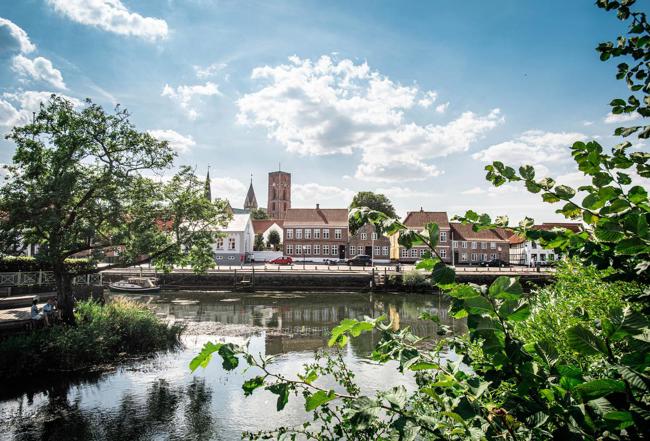 Ribe Byferie Resort, Ribe Town 3