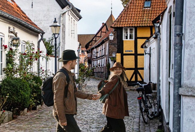 ANN Mini Lux 2. Halvår Vandret (1)
