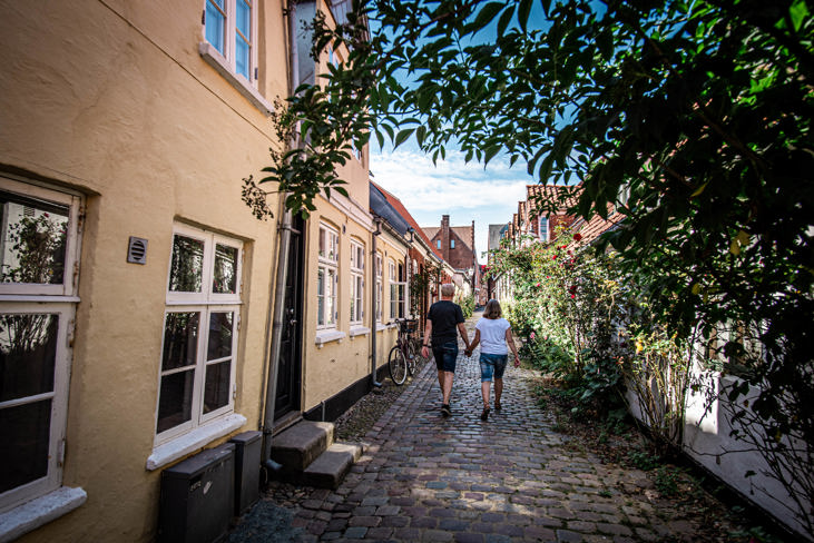 Ribe Gitte Lindeborg 65