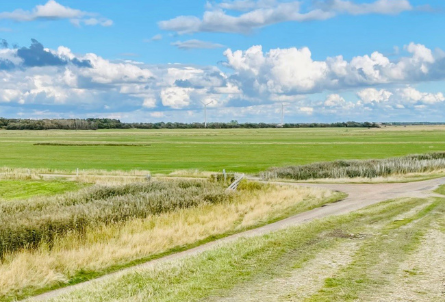Cykelferie Vadehavet Ribe