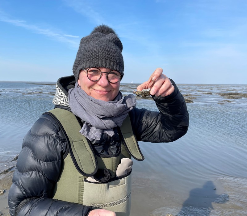 østers i vadehavet - ribe byferie resort