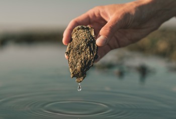 An ØSTERSFESTIVAL 1