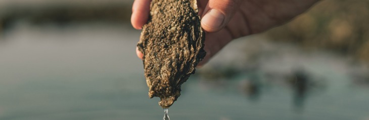 An ØSTERSFESTIVAL 1