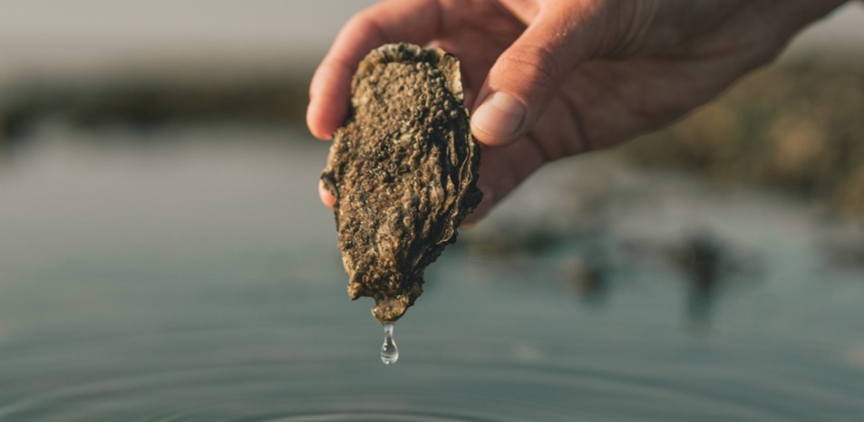 An ØSTERSFESTIVAL 1