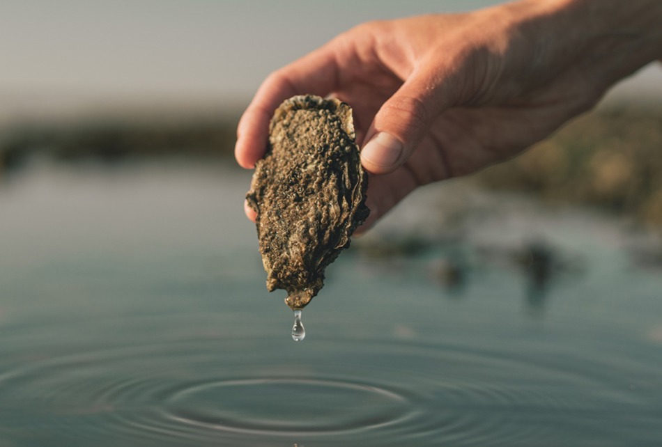 An ØSTERSFESTIVAL 1