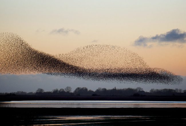 Sort-Sol-guidet-tur-hotel-ribe-byferie-resort