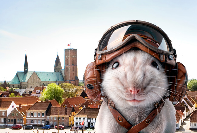 Autipilot Ribe 2